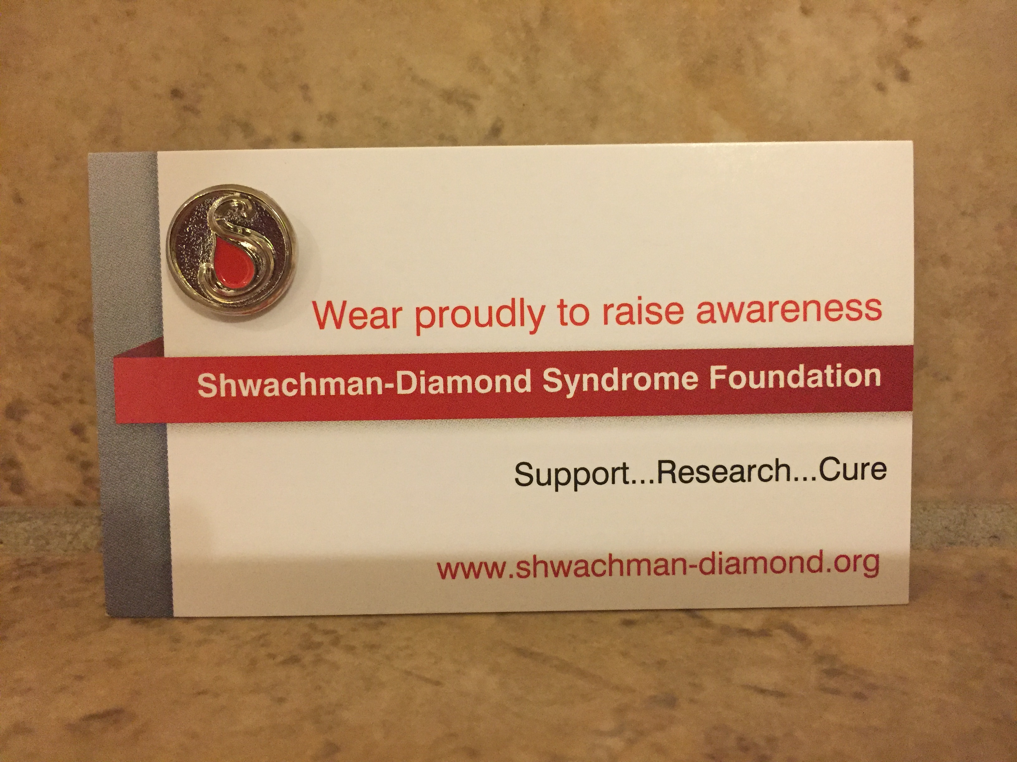 SDSF Lapel Pins