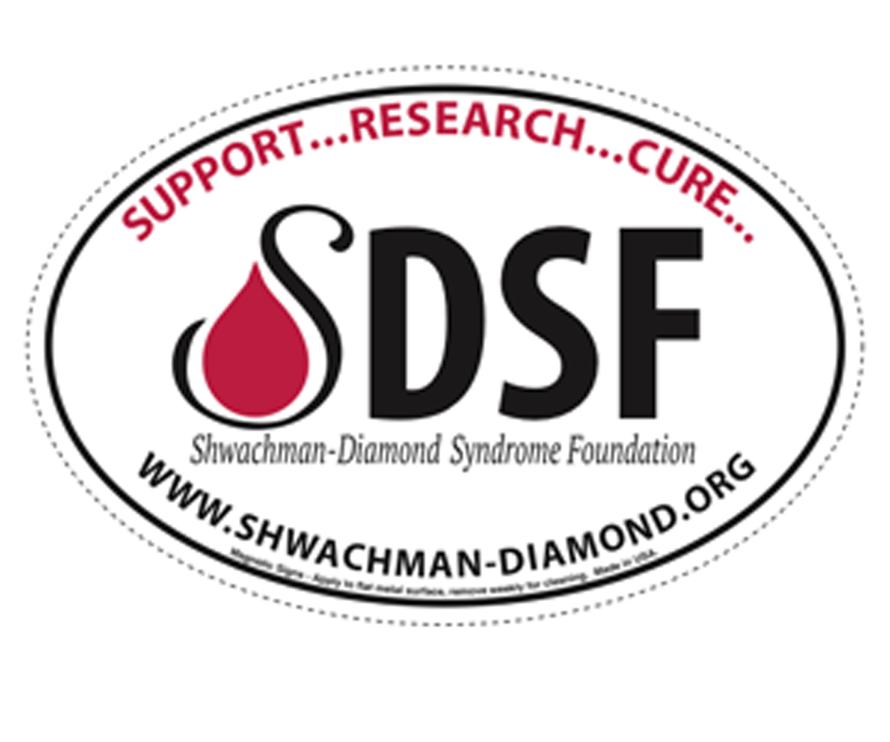 SDSF Magnet